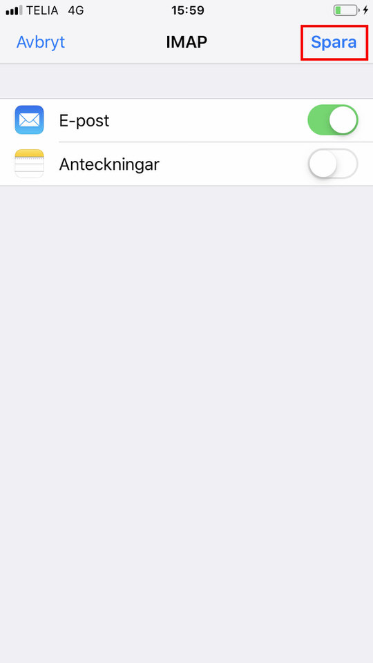 iPhone, steg 9: Bocka in E-post/Mail, och klicka på Spara 
